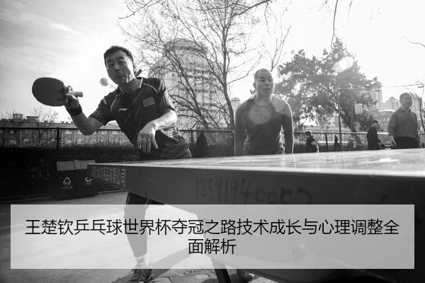王楚钦乒乓球世界杯夺冠之路技术成长与心理调整全面解析