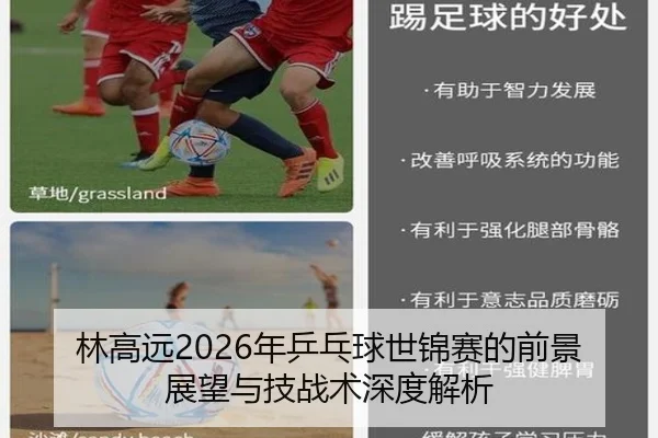 林高远2026年乒乓球世锦赛的前景展望与技战术深度解析